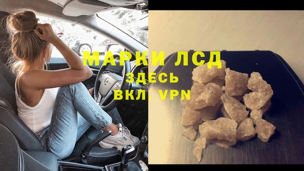 хмурый Абаза