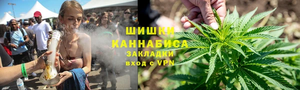 хмурый Абаза