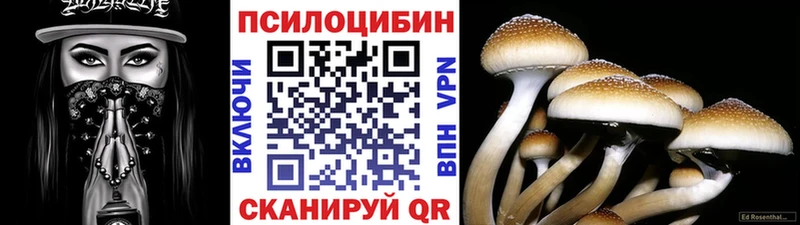 наркошоп MEGA ссылки Псилоцибиновые грибы MAGIC MUSHROOMS Ачхой-Мартан
