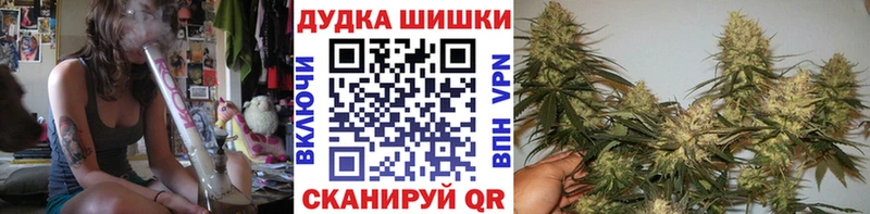 Марихуана семена Ачхой-Мартан